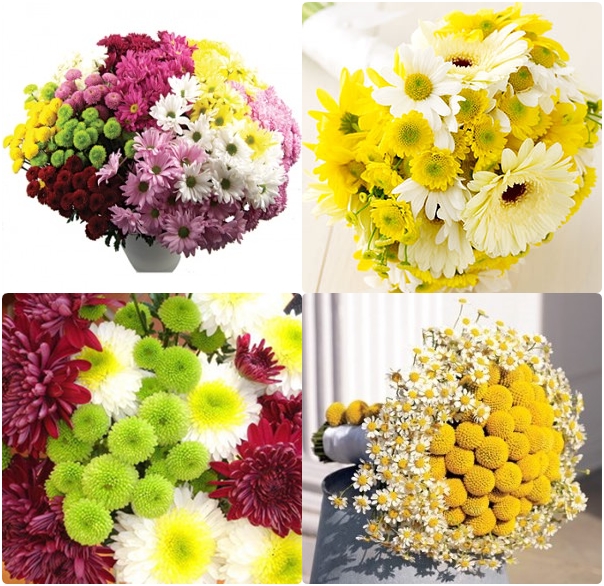 Chrysanthemums are also top budget wedding flowers as they are often cheap 