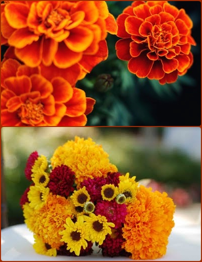 marigold fall wedding flowers