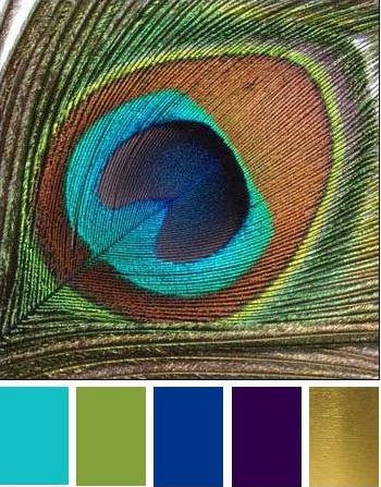 peacock wedding colors