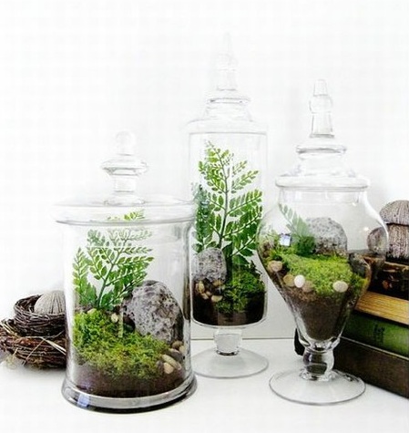 apothecary jar terrarium centerpiece