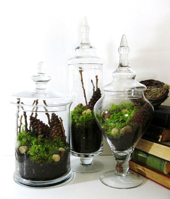 apothecary jar terrarium centerpiece