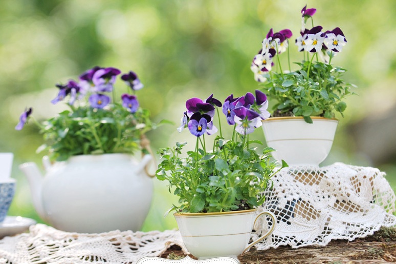 potted flower teacup centerpieces