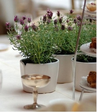 potted lavender centerpiece