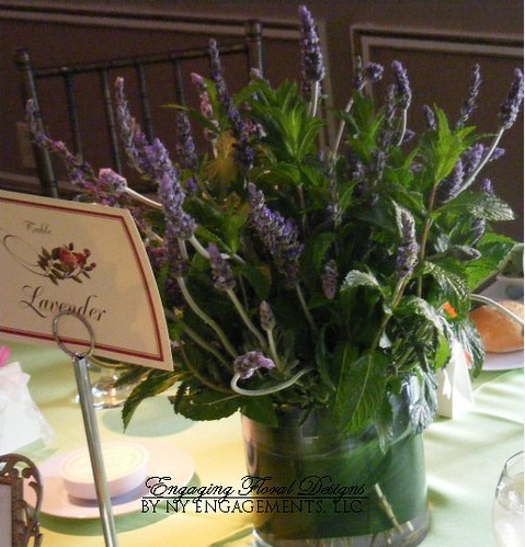 potted lavender mint centerpiece