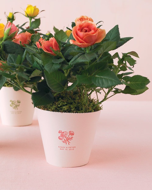 potted rose moss centerpieces