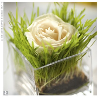 single white rose wheatgrass centerpiece