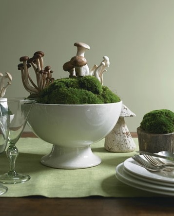 mushroom moss centerpiece 
