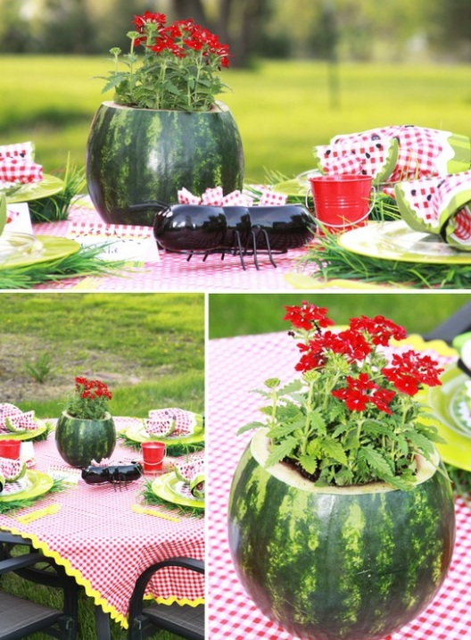 potted watermelon centerpieces