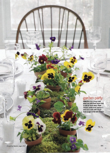 potted pansy wedding centerpieces moss