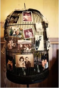 display photo wedding reception birdcage